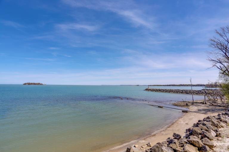 Condo  Pelee Island