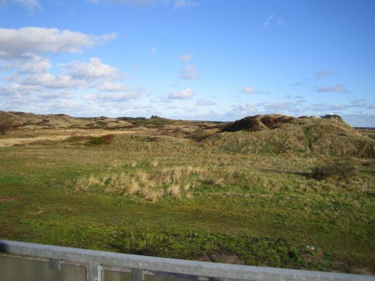 foto4
