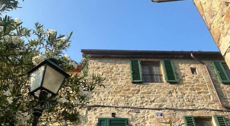 House | Pets allowed in Castelnuovo Berardenga