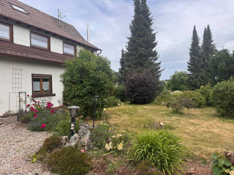 foto23