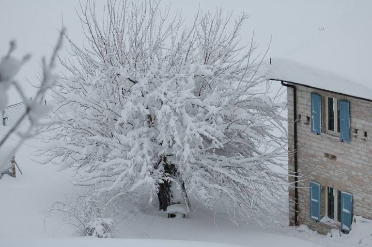 Agriturismo Fossombrone