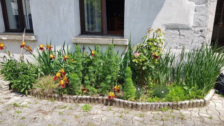 foto18