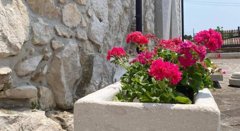 Nice vacation home | Pet-friendly in Frosinone