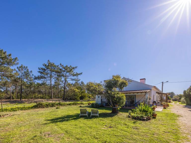 Ferienhaus  Odeceixe