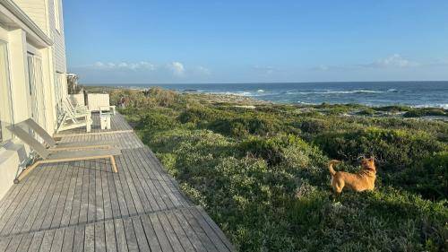 Resort Yzerfontein