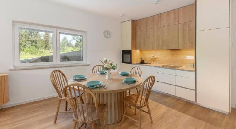 Apartment with sauna, BBQ & patio | Suitable for remote work in Ljubljana