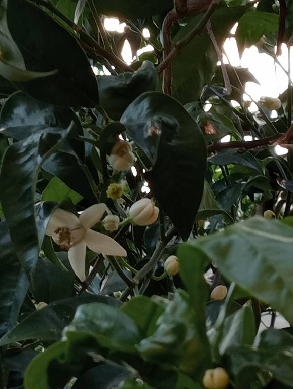 foto14