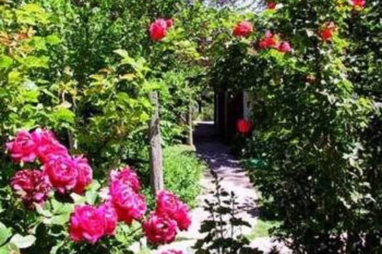 foto12