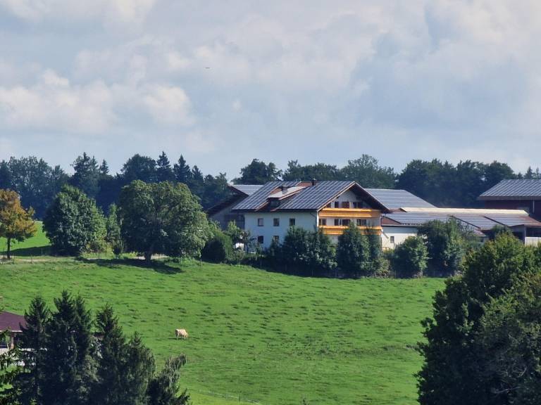 foto11