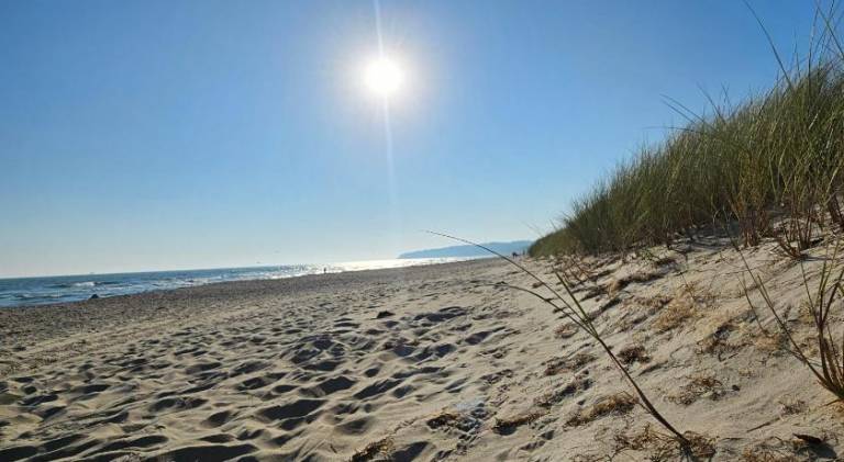 Charming vacation home | Beach nearby | Pets are welcome — photo 5