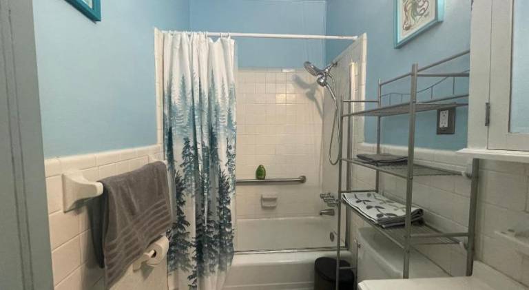 Dog Friendly 1 bd 1 ba near Airport and Marta — photo 2