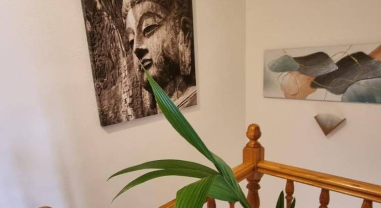 House | Next to the beach | Pets are welcome in València