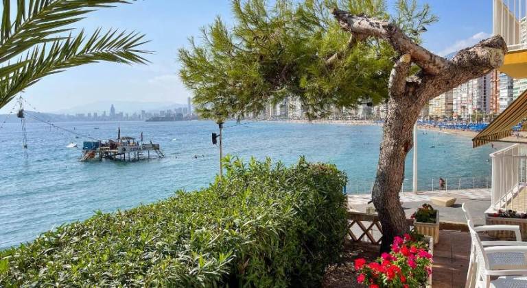 Ample holiday apartment | Beach nearby | Pets allowed — photo 4
