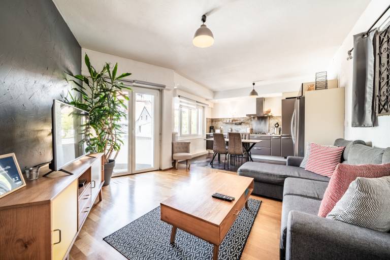 Rental apartment with fast internet | City view in Thonon-les-Bains