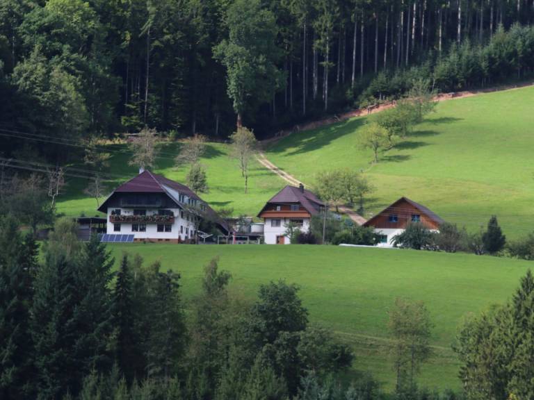 foto17
