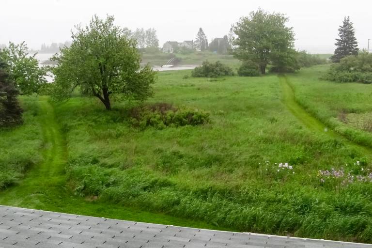 foto21