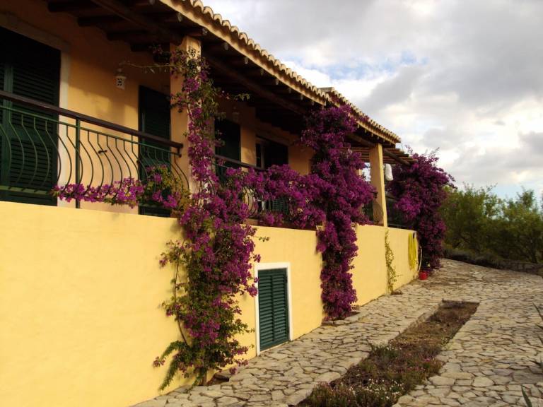 House Loulé