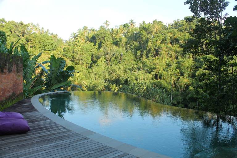 Tirta Loka Suite in Tegallalang
