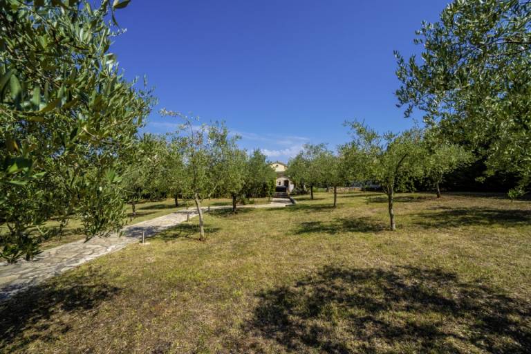 foto47