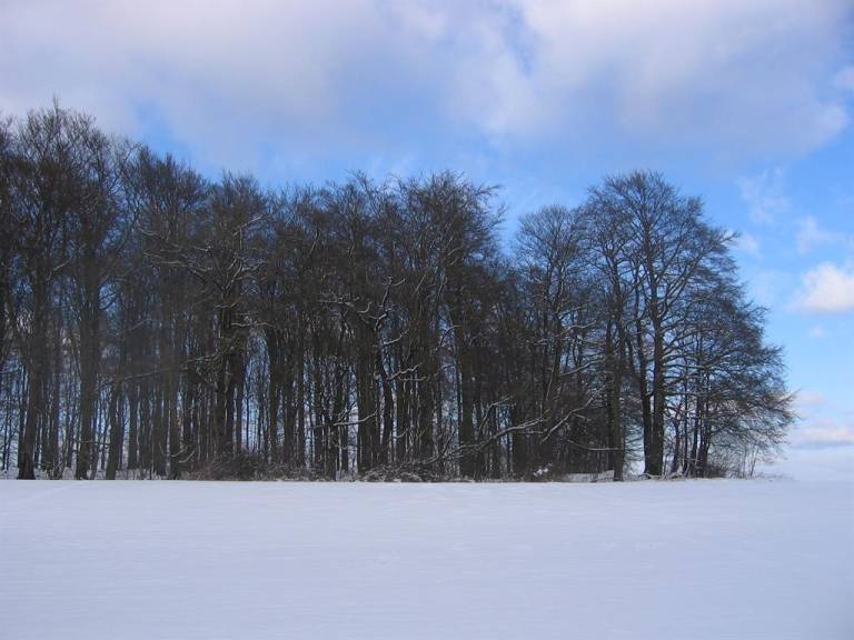 foto20