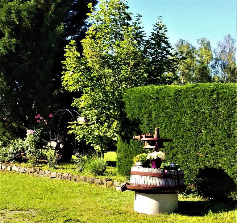 foto16