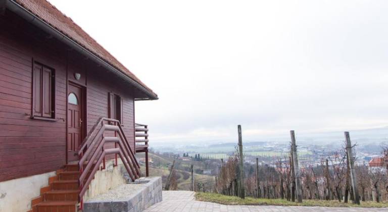 hiša Lendava