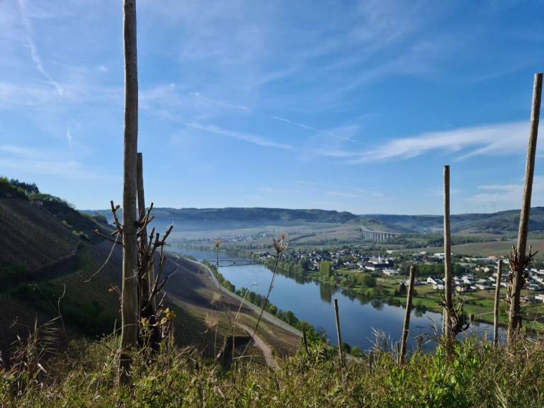 foto11