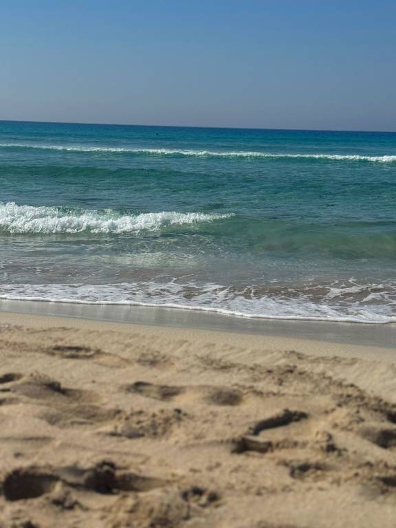 Apartment with grill, yard & terrace | Next to the beach | Pets allowed — photo 4