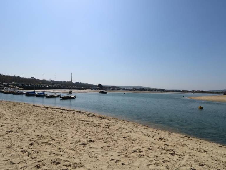 foto41