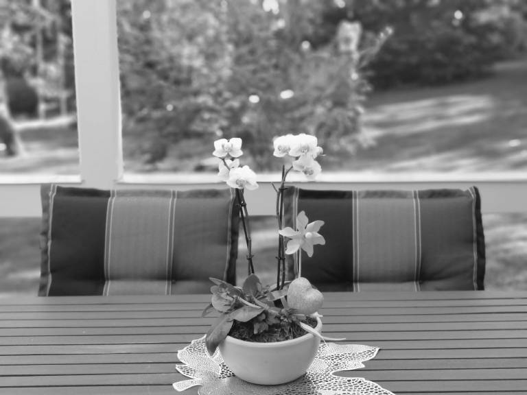 foto28