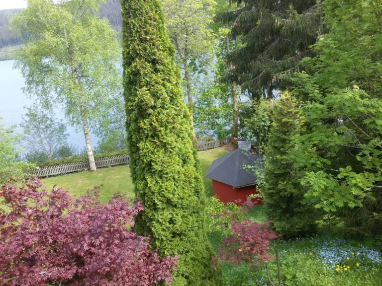 foto22