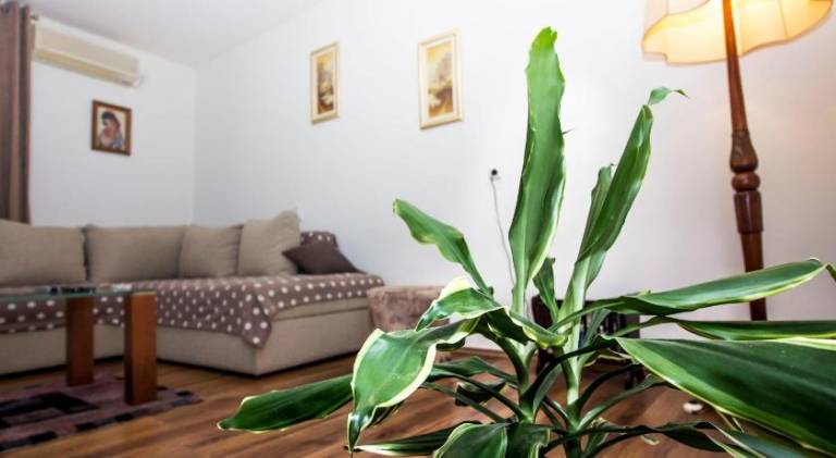 Apartment | Near Diocletian's Palace | Dogs allowed — photo 4