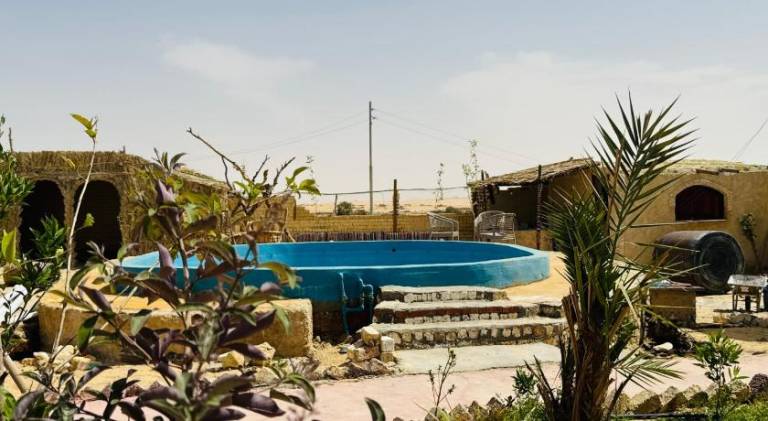 ادرار احكيك — photo 4