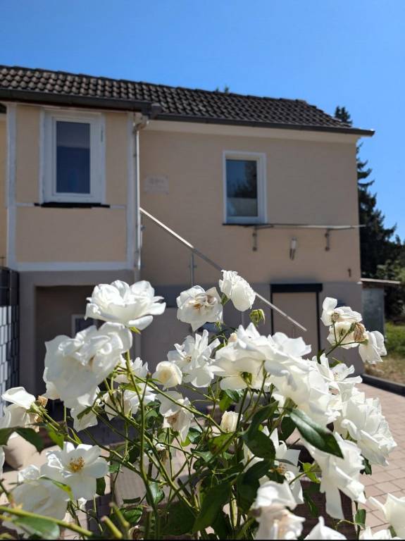 Vacation home | Pets allowed in Giessen