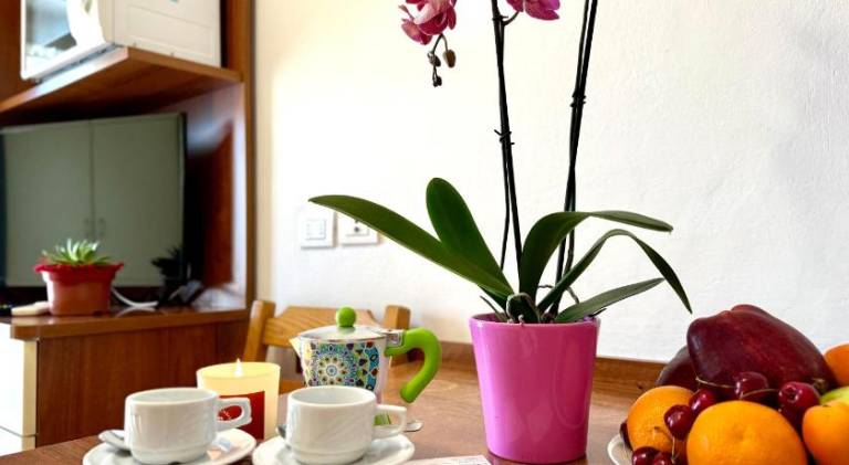 Wonderful serviced apartment | Beach nearby | Dogs allowed — photo 5