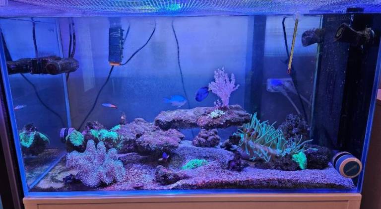 foto36