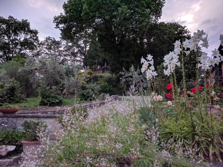 foto14