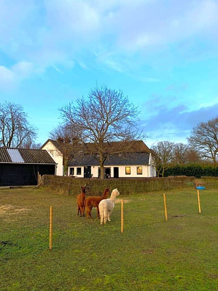 Bed & Breakfast Markelo