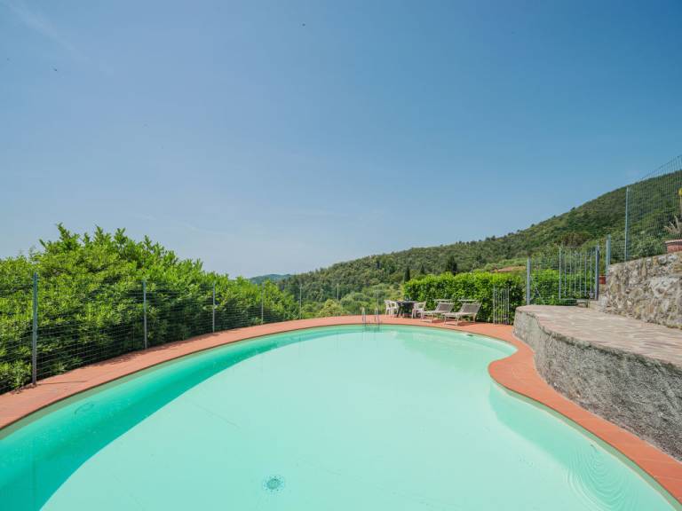 foto42