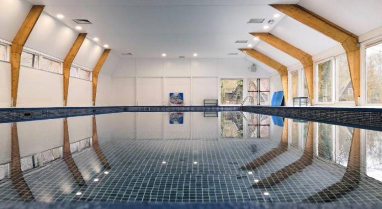 Chalet with pool — photo 3