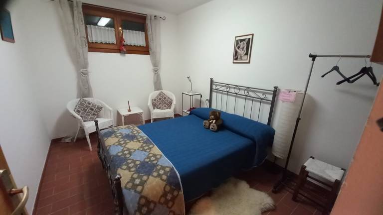 Affittacamere 'L'Ulivo', alloggio in seminterrato — photo 3