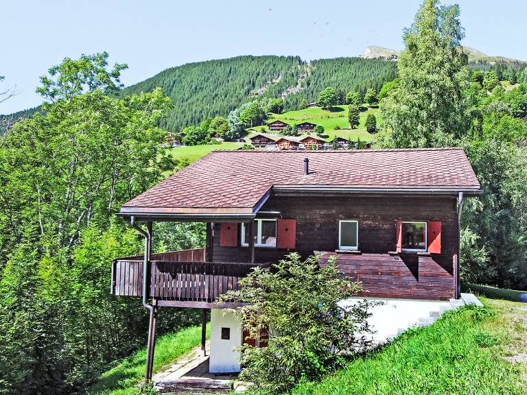 House with garden & terrace | Mountain view | Perfect for remote work in Grindelwald