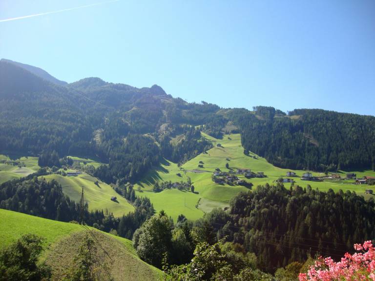 foto19
