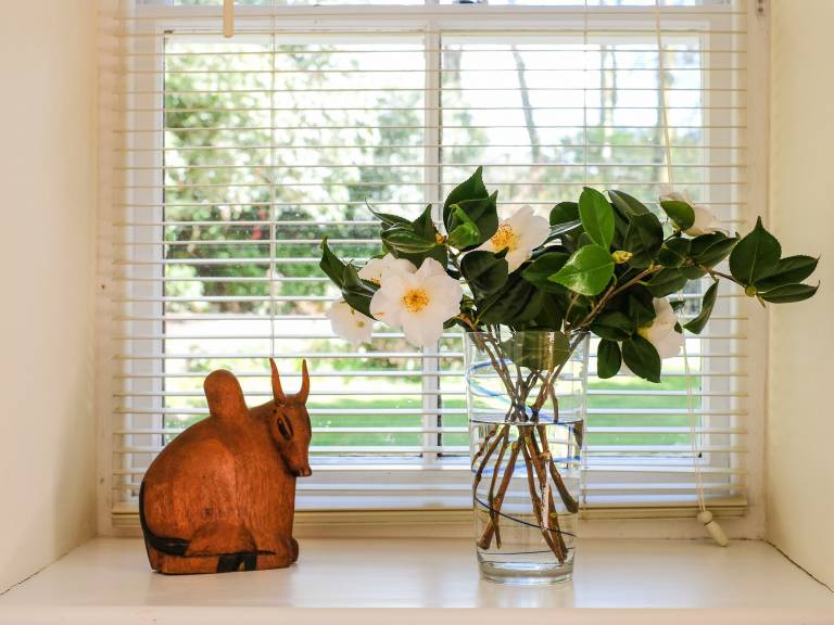 Cottage with garden — photo 5