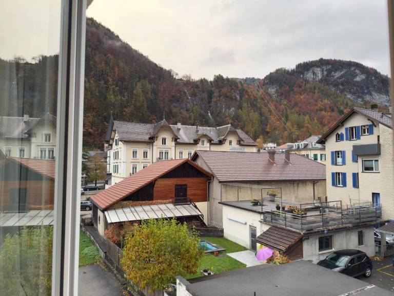 Hotel Rebstock Meiringen — photo 4