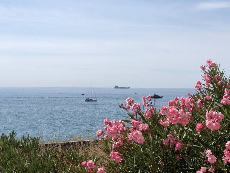 Appartement Sète