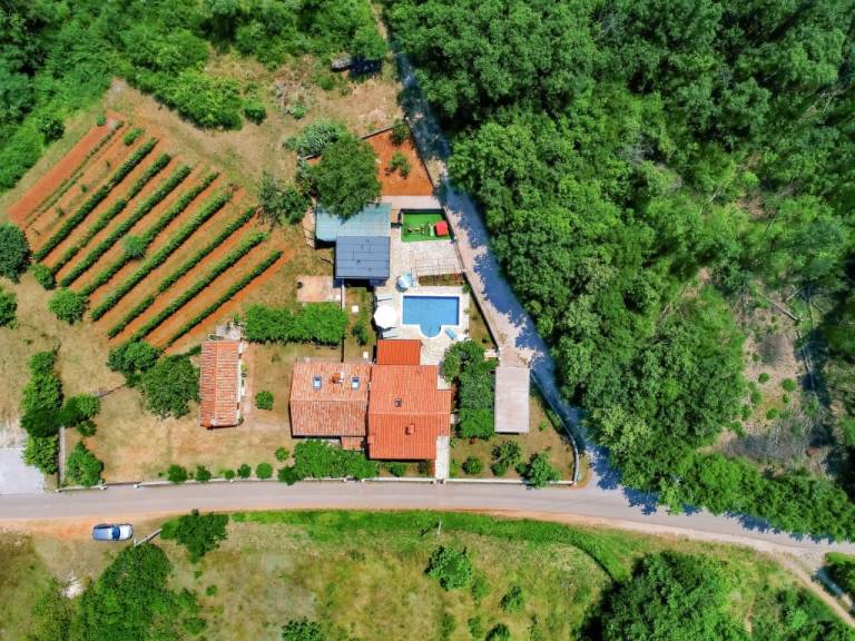 foto40