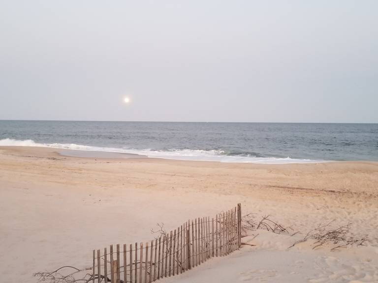 Cabin Fire Island