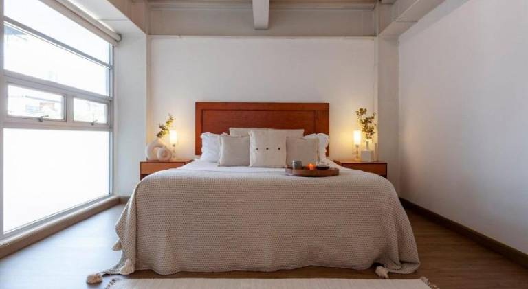 Holiday apartment | Pets are welcome in Mexico City