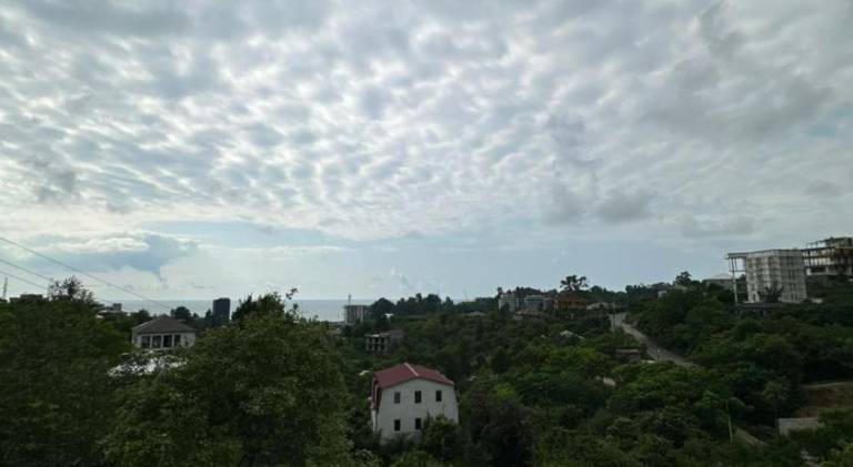 foto40